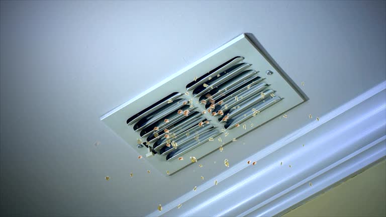 Best HVAC Duct Inspection Services  in Ellitt, CO
